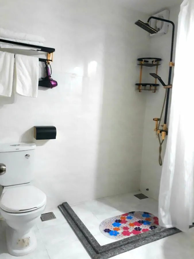 Ava Hotel & Apartment Da Nang 3*,